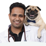 India’s Pet Parents Are Loving Their Dogs and Cats More Than Ever — and Feeding Them Worse, Says Vet-Founder Dr. Anshul Rawal