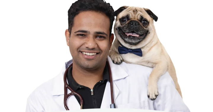 India’s Pet Parents Are Loving Their Dogs and Cats More Than Ever — and Feeding Them Worse, Says Vet-Founder Dr. Anshul Rawal