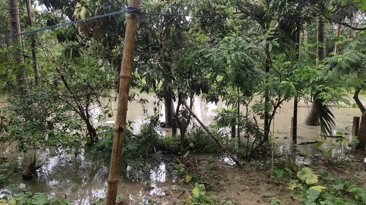 Heavy rain alert issued for 19 states as IMD flags flash flood risk