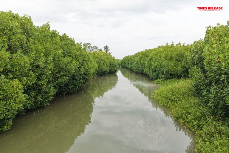 Mangroves, Sand Dunes and the Coastal Lifeline of Cuddalore: Why Protecting the Uppanar Ecosystem Matters