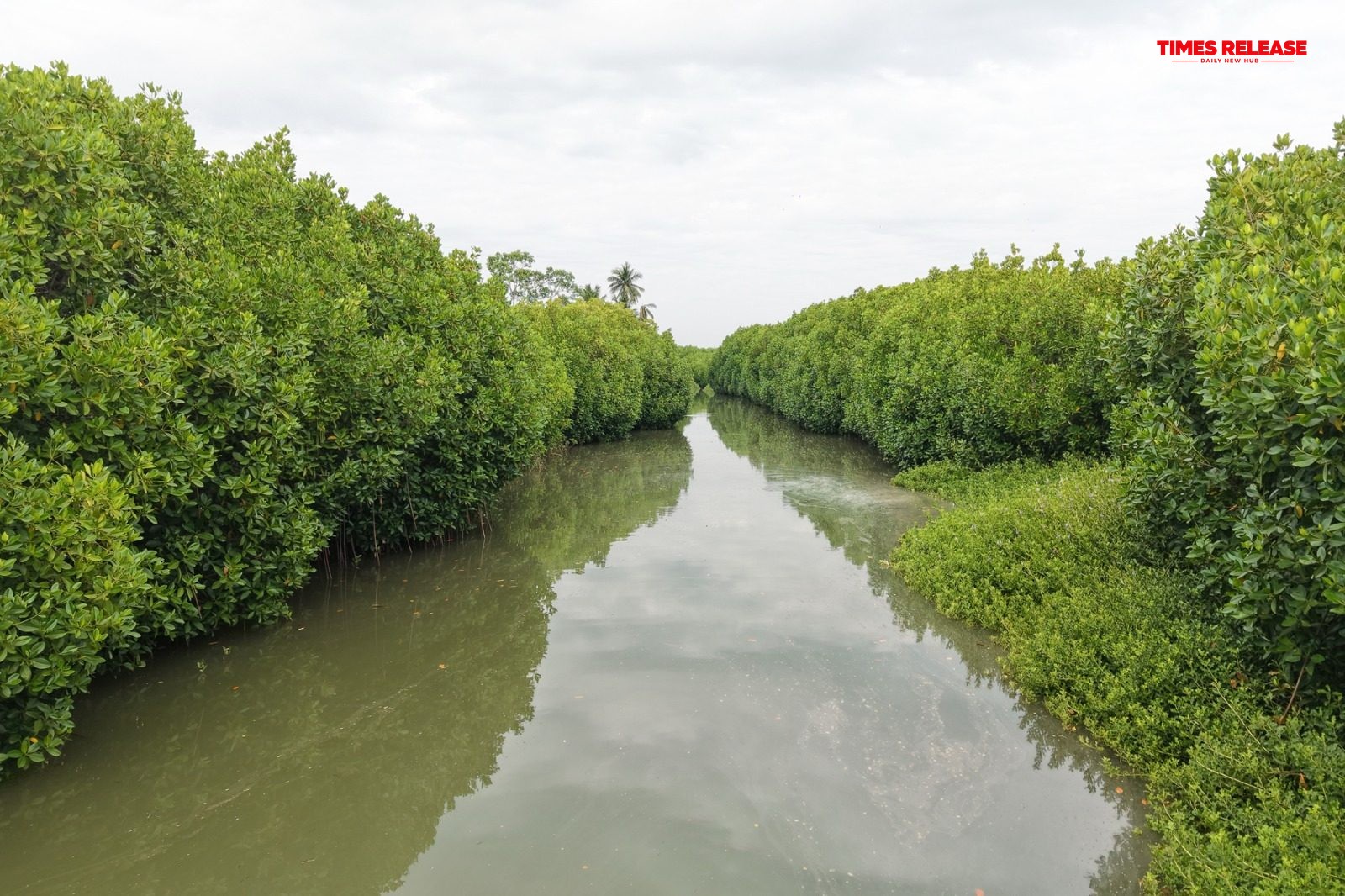 Mangroves, Sand Dunes and the Coastal Lifeline of Cuddalore: Why Protecting the Uppanar Ecosystem Matters